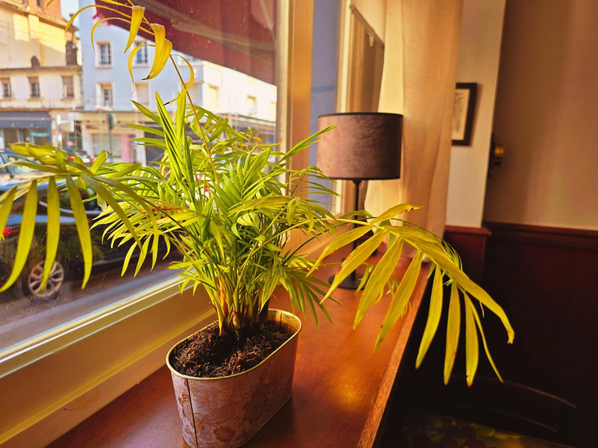 Alexandra Centre Hotel Boulogne-sur-Mer